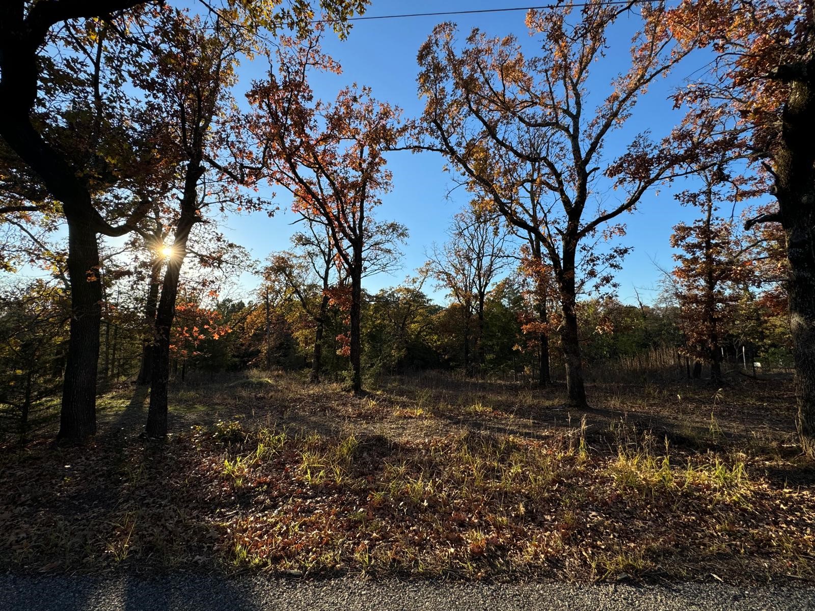 318 Richerson Road Denison TX 75021