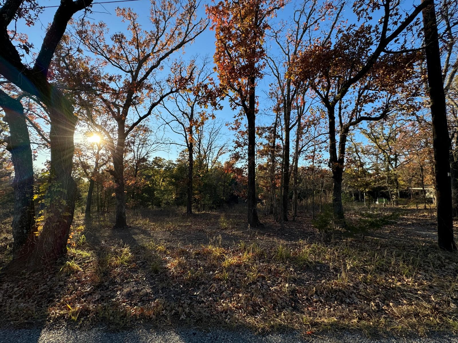 318 Richerson Road Denison TX 75021