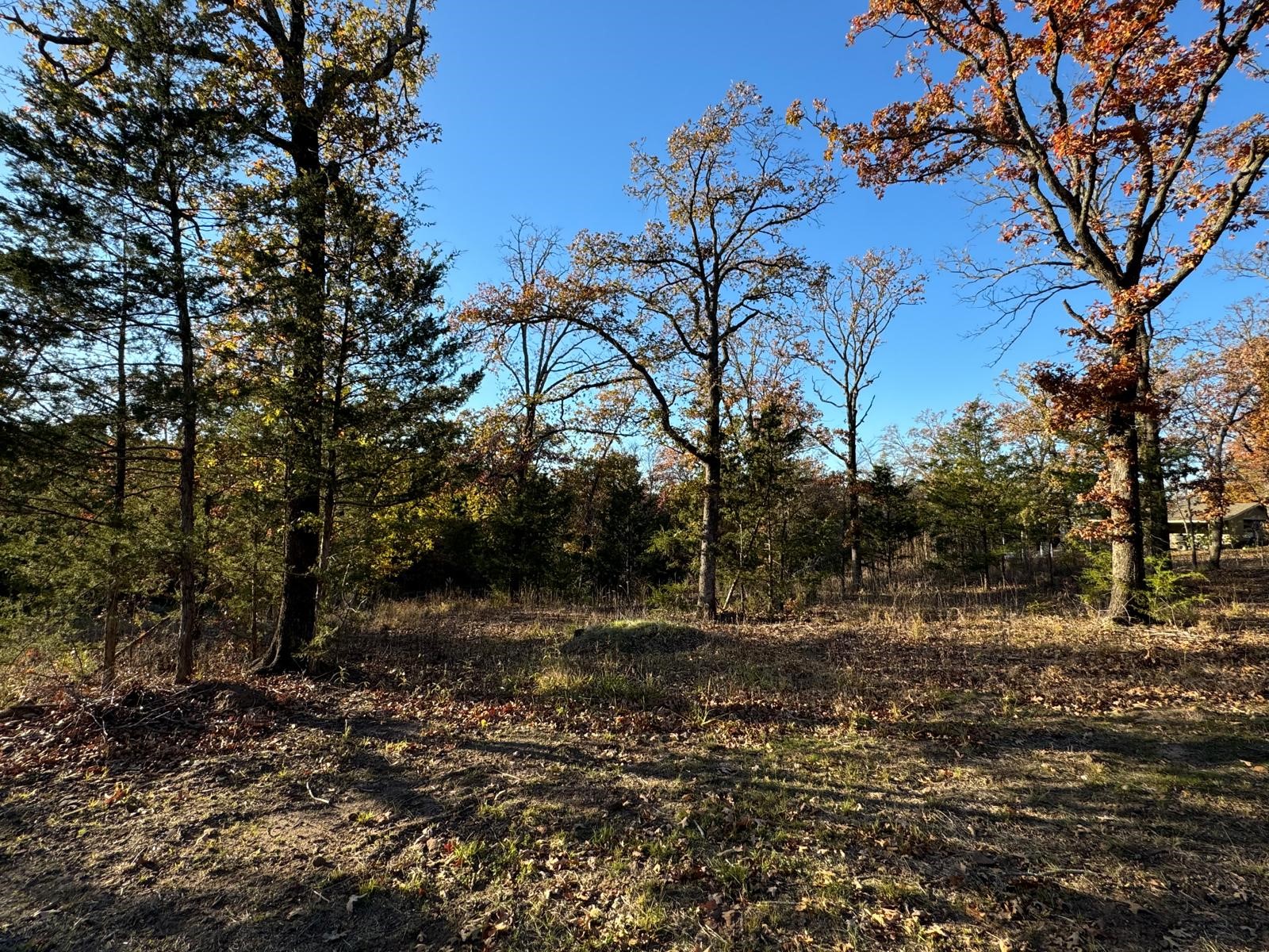 318 Richerson Road Denison TX 75021