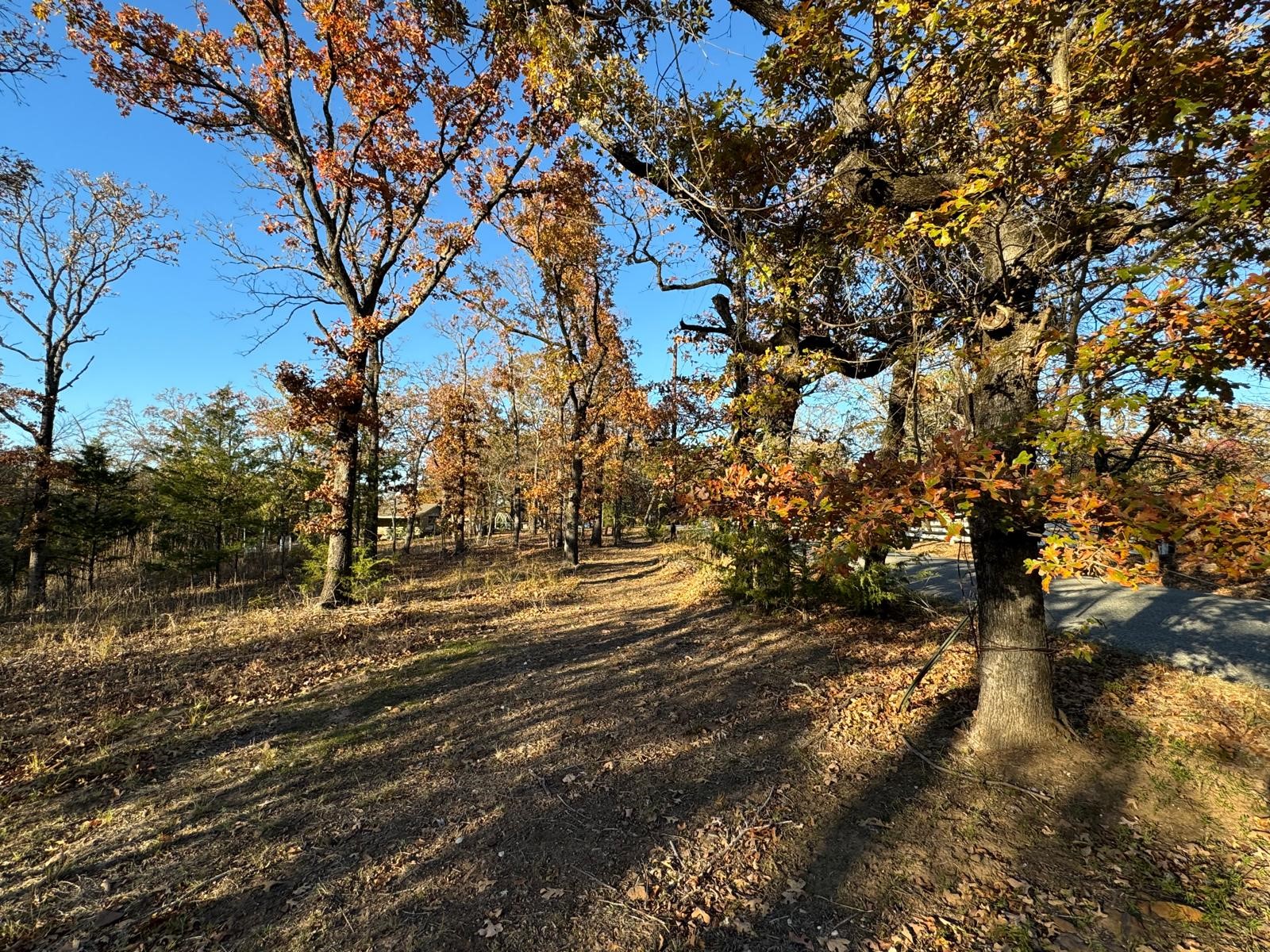 318 Richerson Road Denison TX 75021