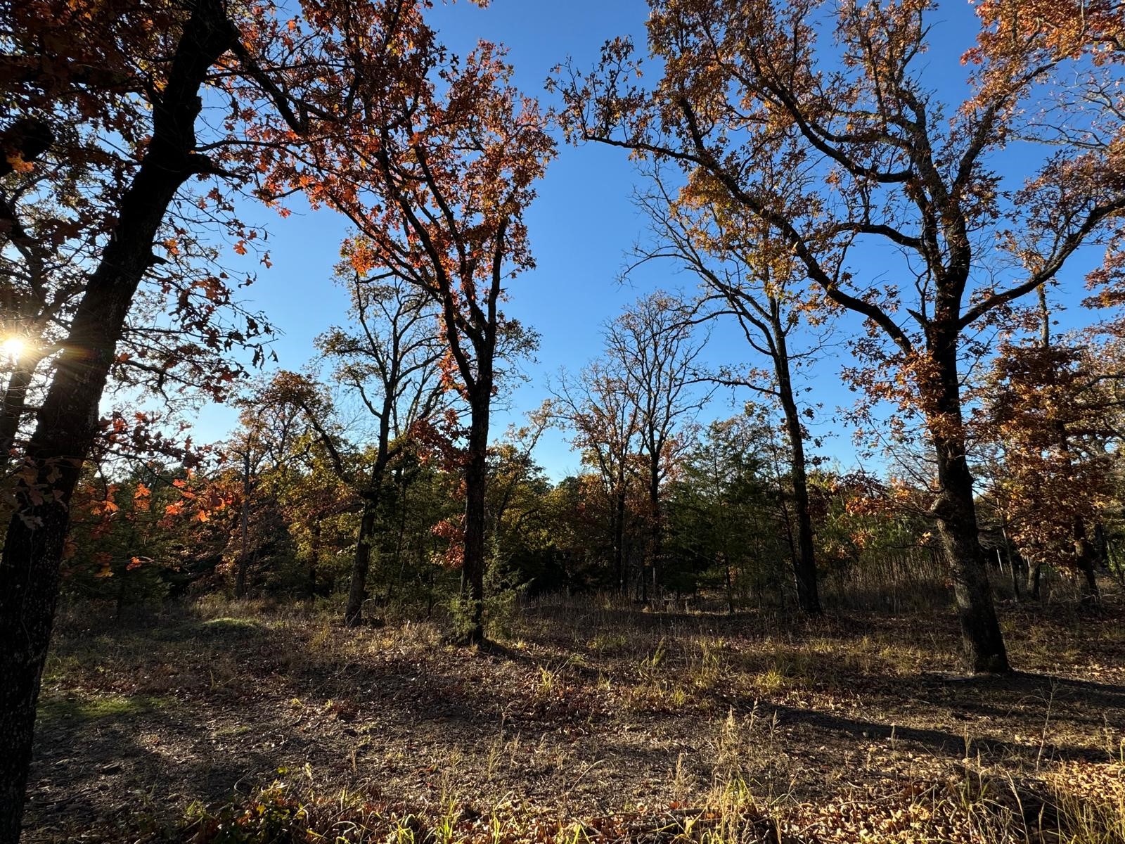 318 Richerson Road Denison TX 75021