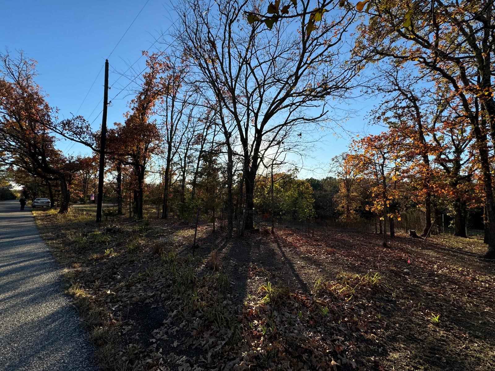 318 Richerson Road Denison TX 75021