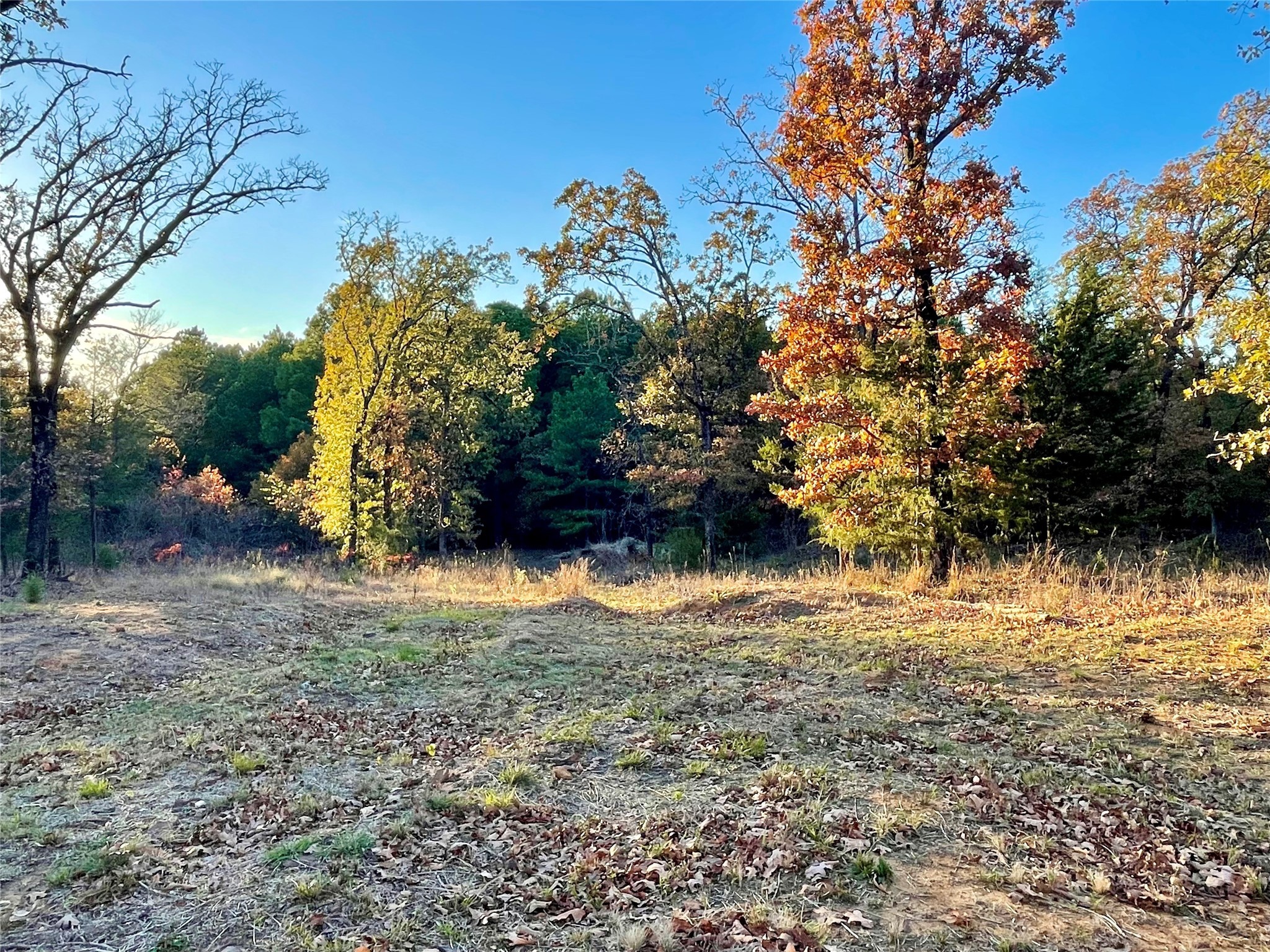 318 Richerson Road Denison TX 75021