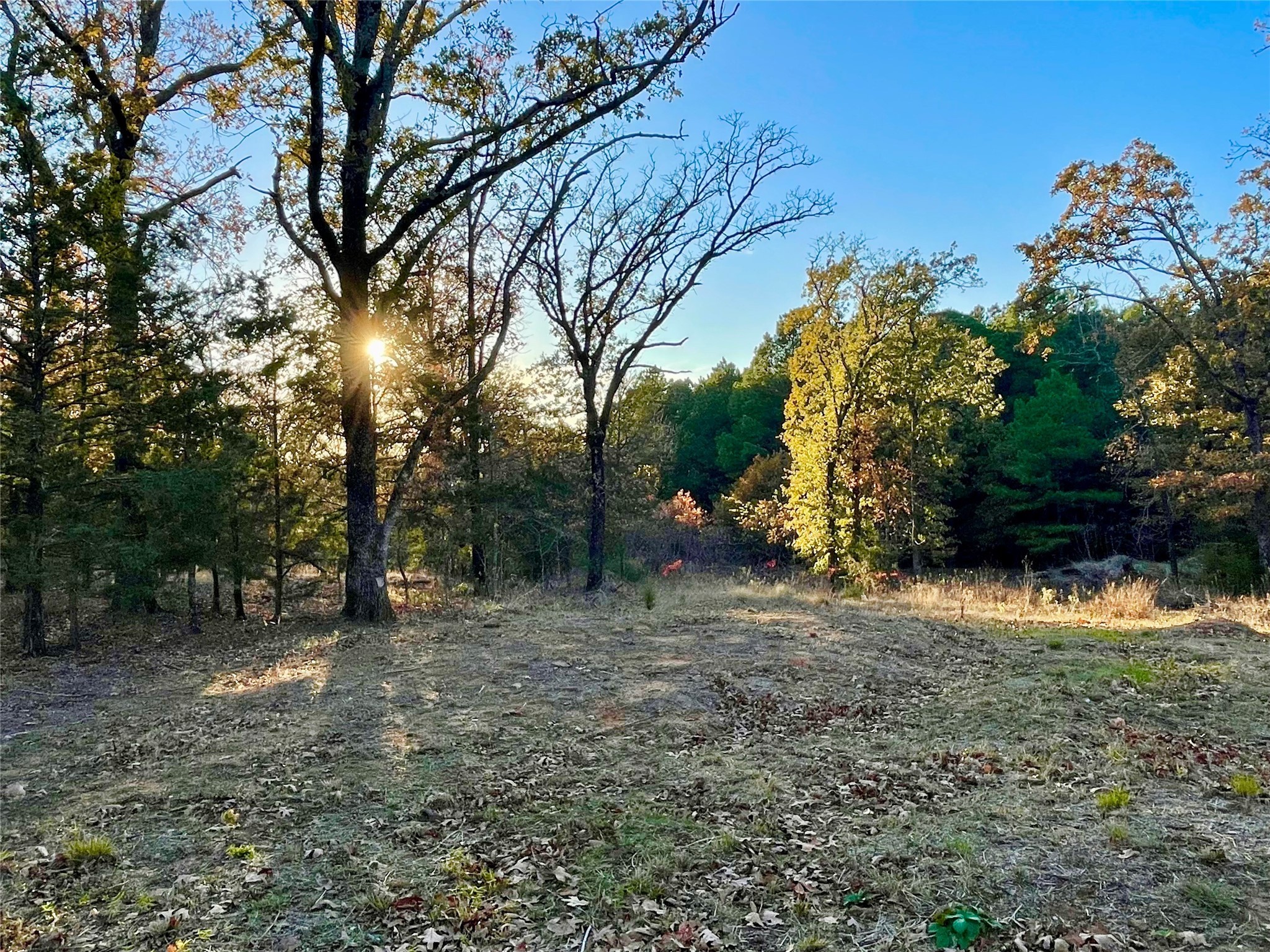 318 Richerson Road Denison TX 75021