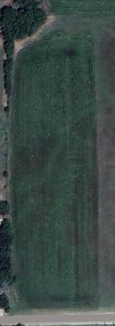 1035 Holder Road Forreston TX 76041