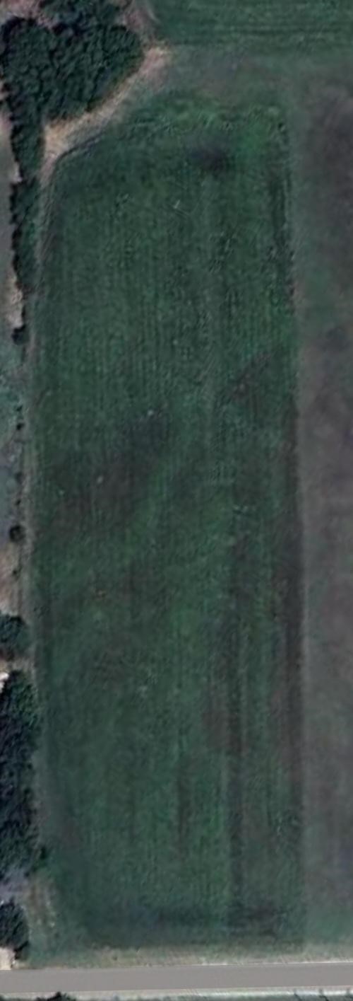 1035 Holder Road Forreston TX 76041