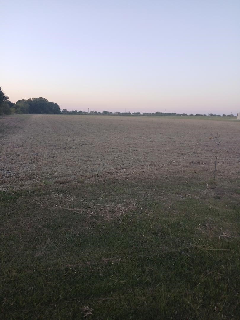 1035 Holder Road Forreston TX 76041