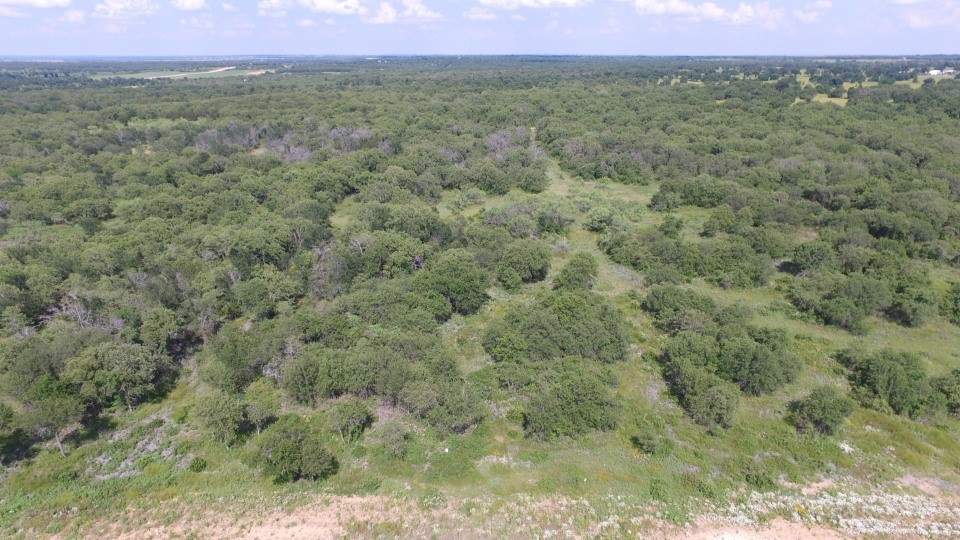 Lot 89 Paradise Oaks Perrin TX 76486