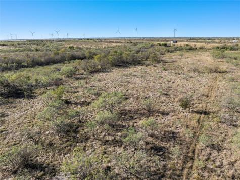 Tbd Highway 171 Coolidge TX 76635