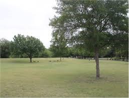 9483 Timberleaf Drive Dallas TX 75243