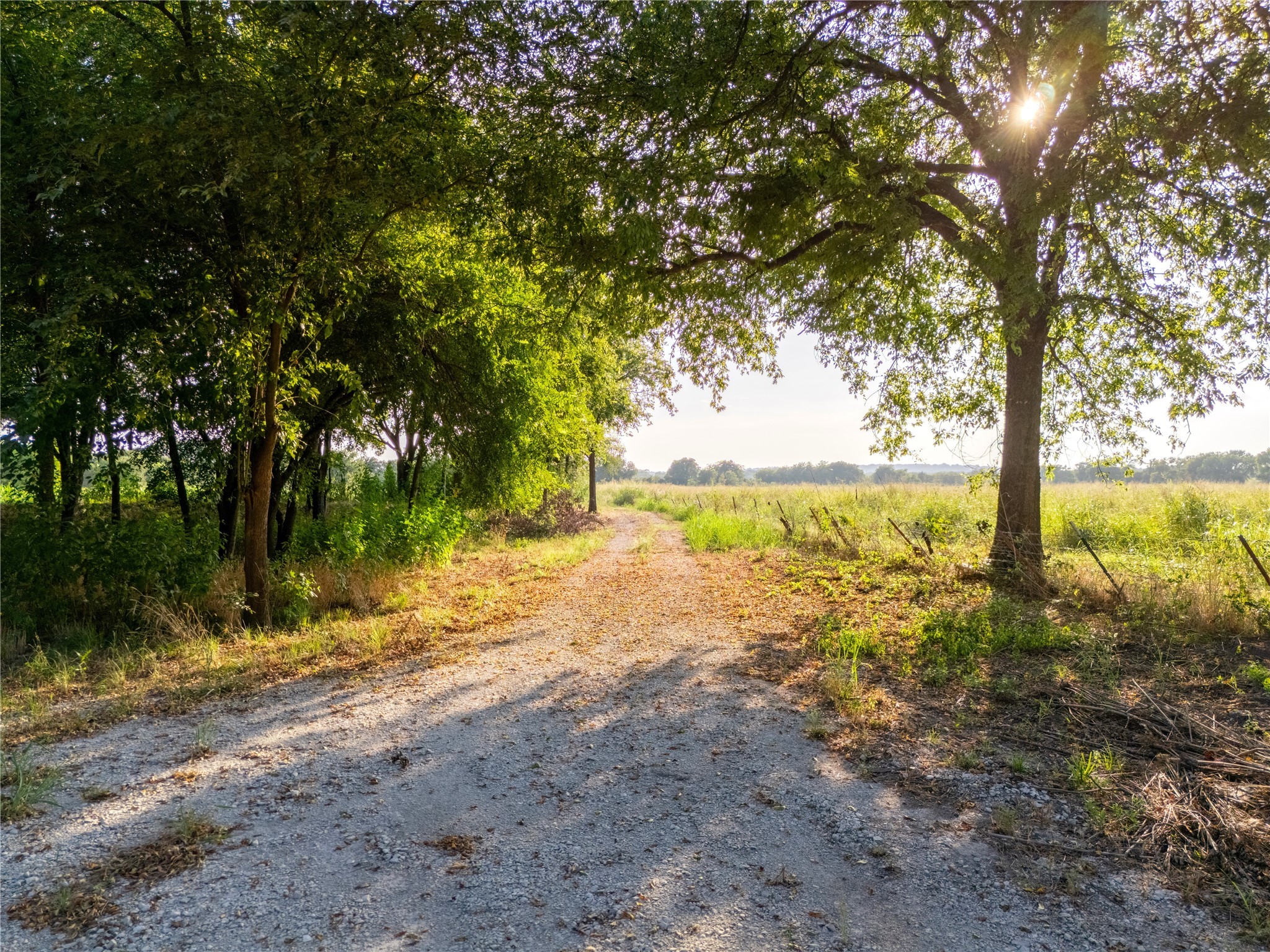24+/- Ac. Tbd Highway 6 Valley Mills TX 76689