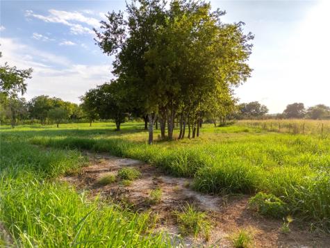 24+/- Ac. Tbd Highway 6 Valley Mills TX 76689