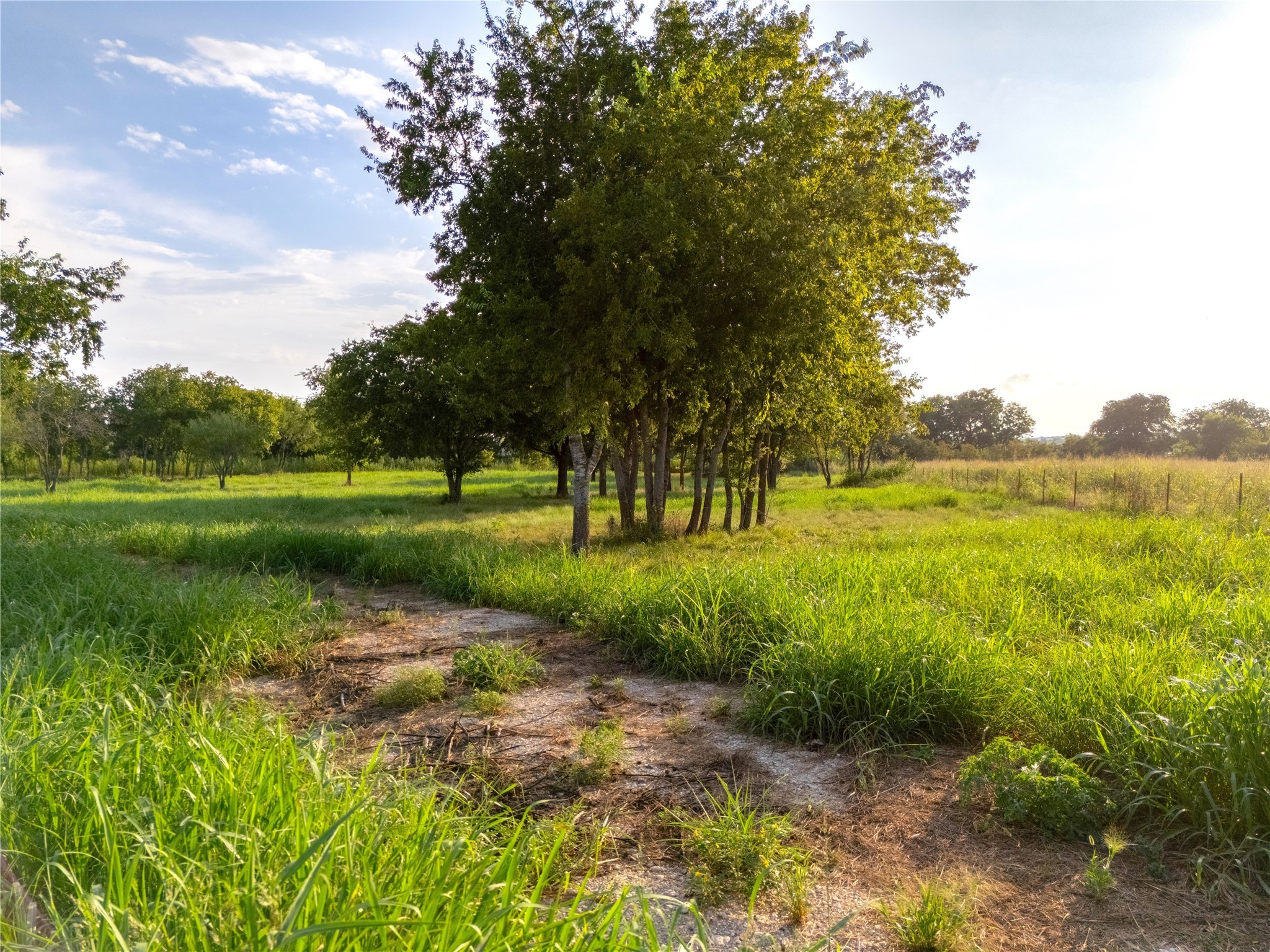24+/- Ac. Tbd Highway 6 Valley Mills TX 76689