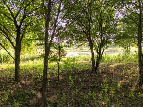 24+/- Ac. Tbd Highway 6 Valley Mills TX 76689