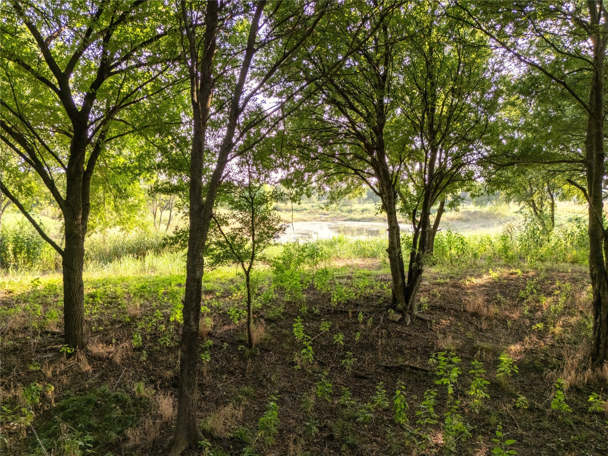 24+/- Ac. Tbd Highway 6 Valley Mills TX 76689