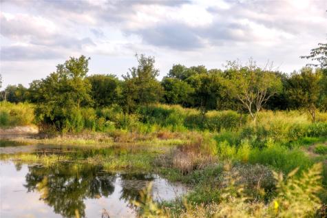 24+/- Ac. Tbd Highway 6 Valley Mills TX 76689