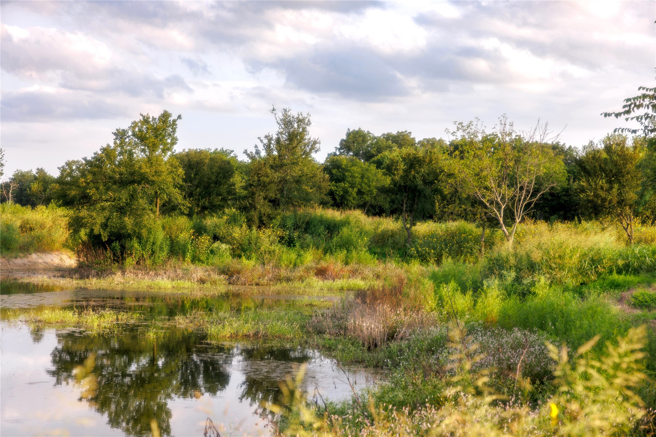 24+/- Ac. Tbd Highway 6 Valley Mills TX 76689