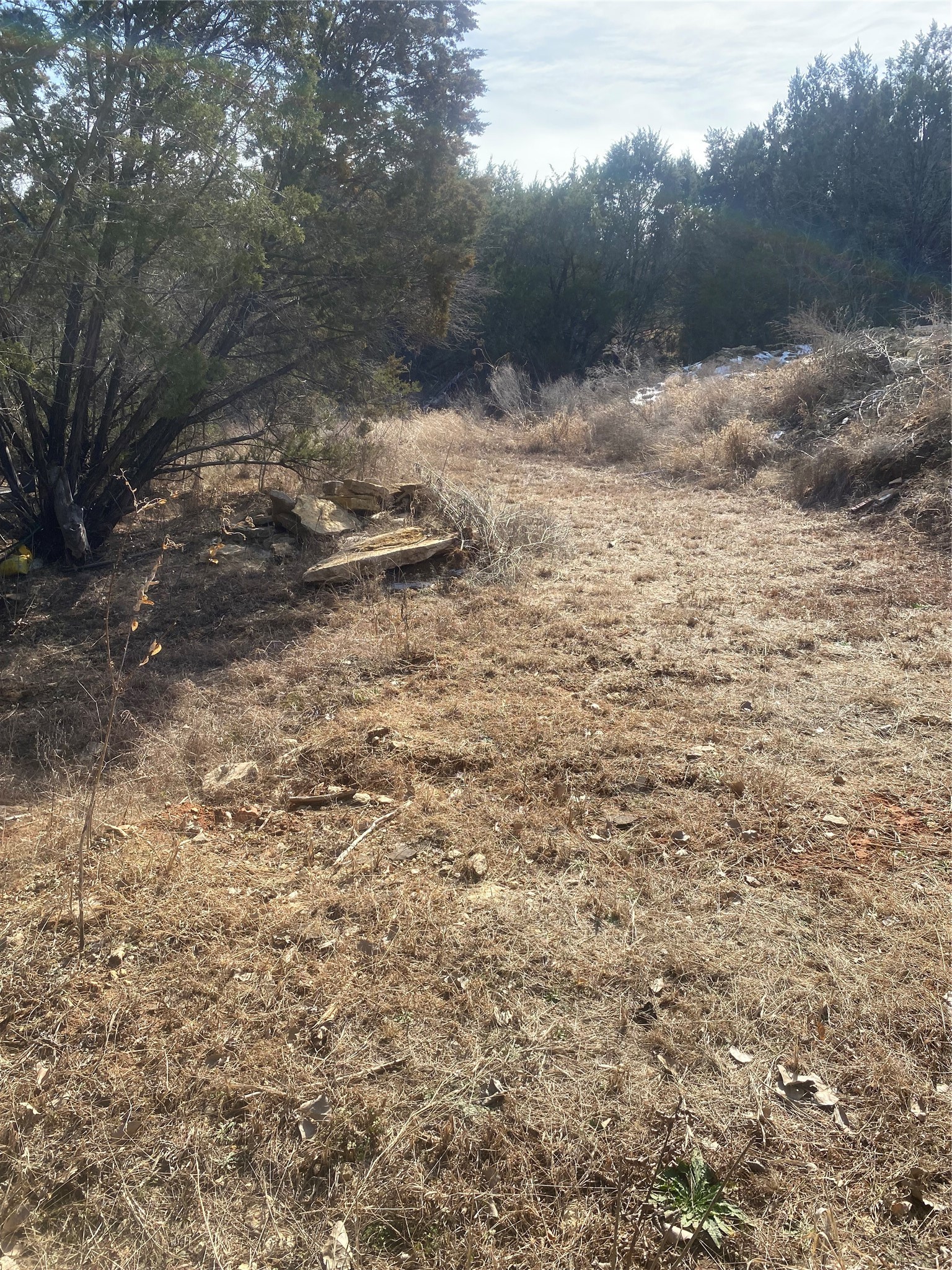 3217 Lakeside Drive Granbury TX 76048