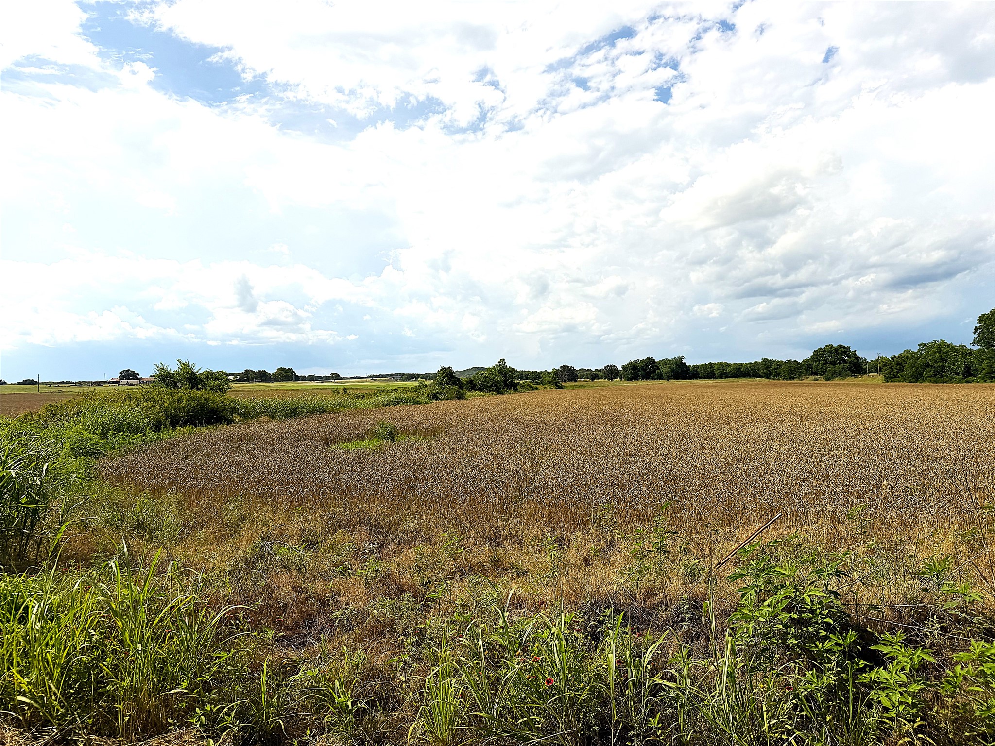 Tbd Hwy 183 N West Side Rising Star TX 76471