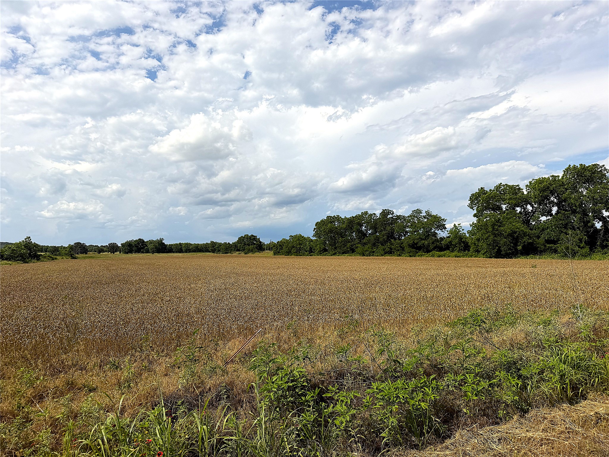 Tbd Hwy 183 N West Side Rising Star TX 76471
