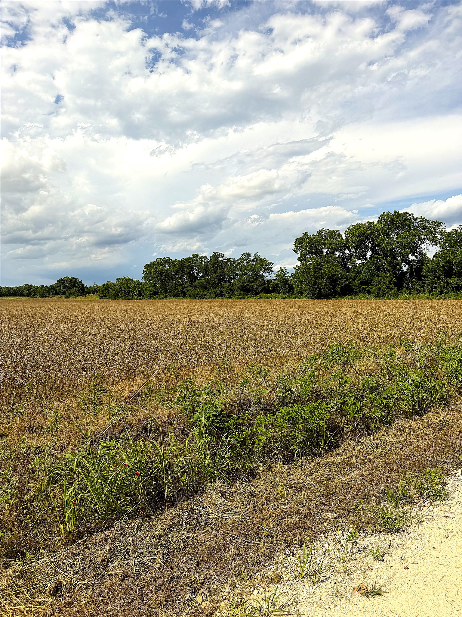 Tbd Hwy 183 N West Side Rising Star TX 76471