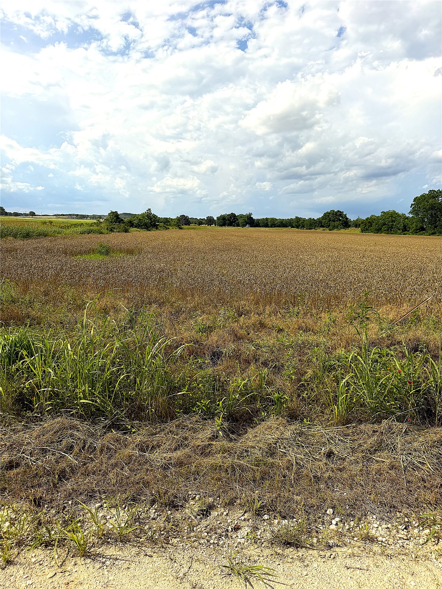Tbd Hwy 183 N West Side Rising Star TX 76471