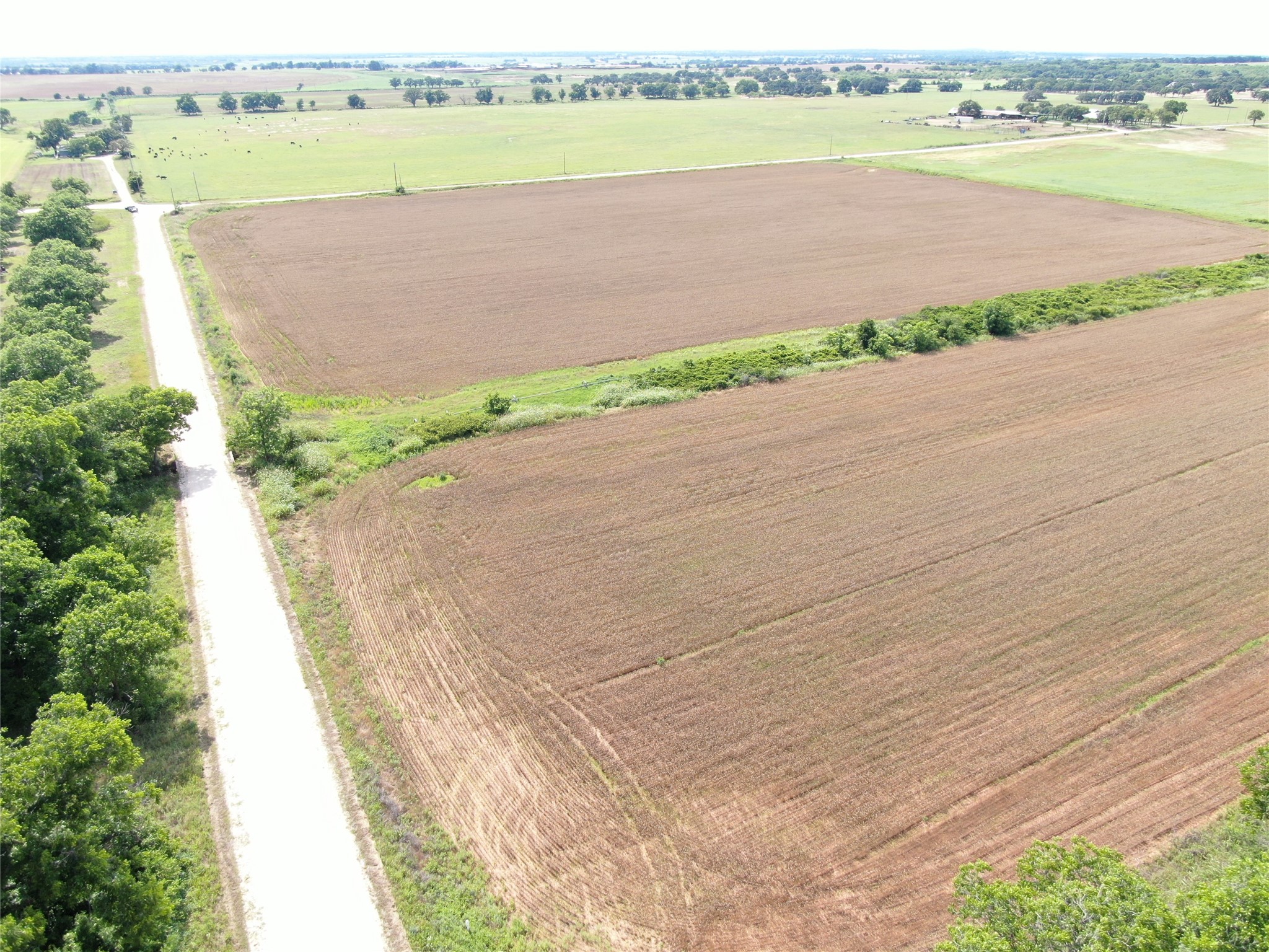 Tbd Hwy 183 N West Side Rising Star TX 76471