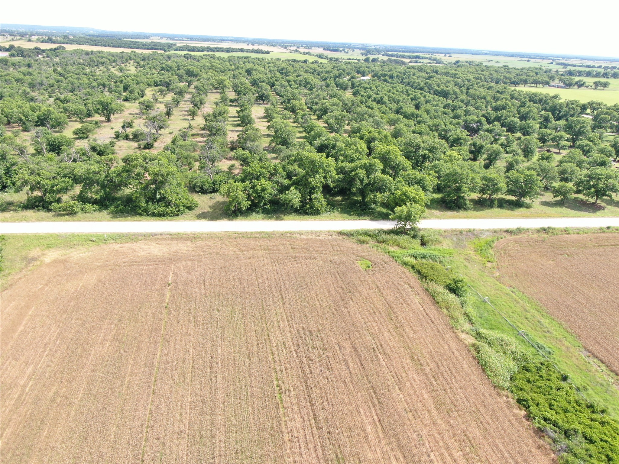Tbd Hwy 183 N West Side Rising Star TX 76471