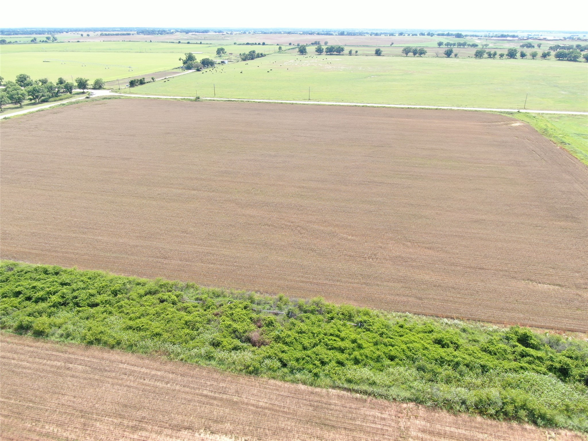 Tbd Hwy 183 N West Side Rising Star TX 76471
