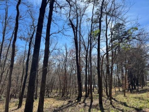 Tbd Anderson County Road 319 Frankston TX 75763