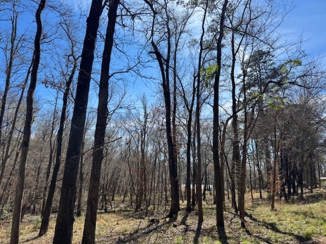Tbd Anderson County Road 319 Frankston TX 75763