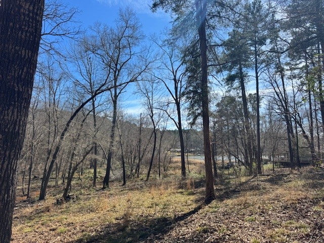 Tbd Anderson County Road 319 Frankston TX 75763