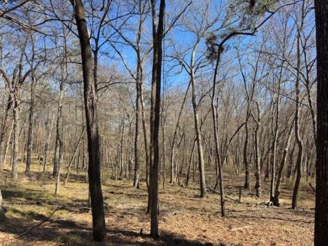Tbd Anderson County Road 319 Frankston TX 75763