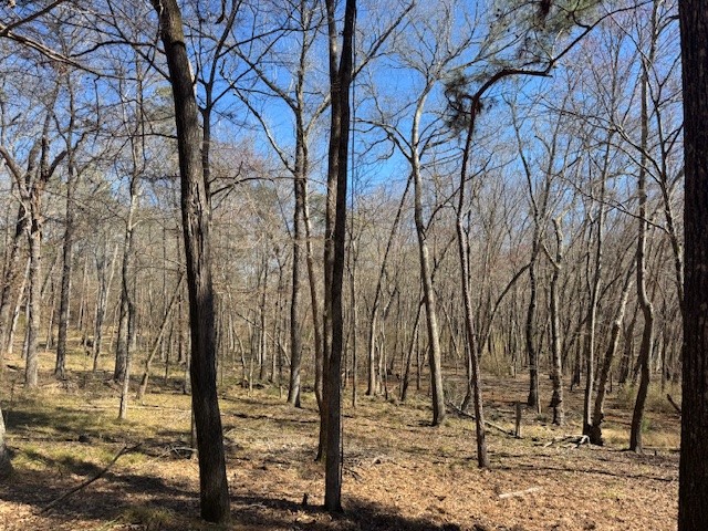 Tbd Anderson County Road 319 Frankston TX 75763