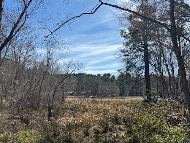 Tbd Anderson County Road 319 Frankston TX 75763
