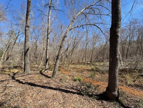 Tbd Anderson County Road 319 Frankston TX 75763
