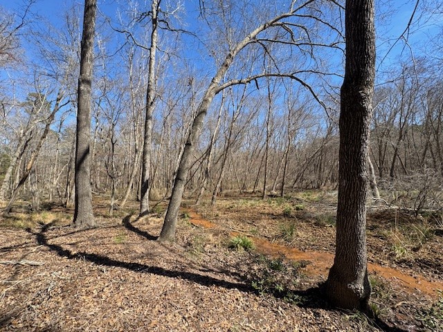 Tbd Anderson County Road 319 Frankston TX 75763
