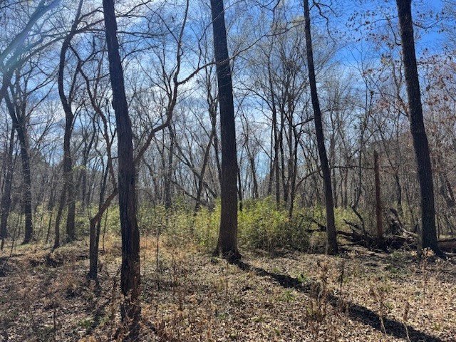 Tbd Anderson County Road 319 Frankston TX 75763