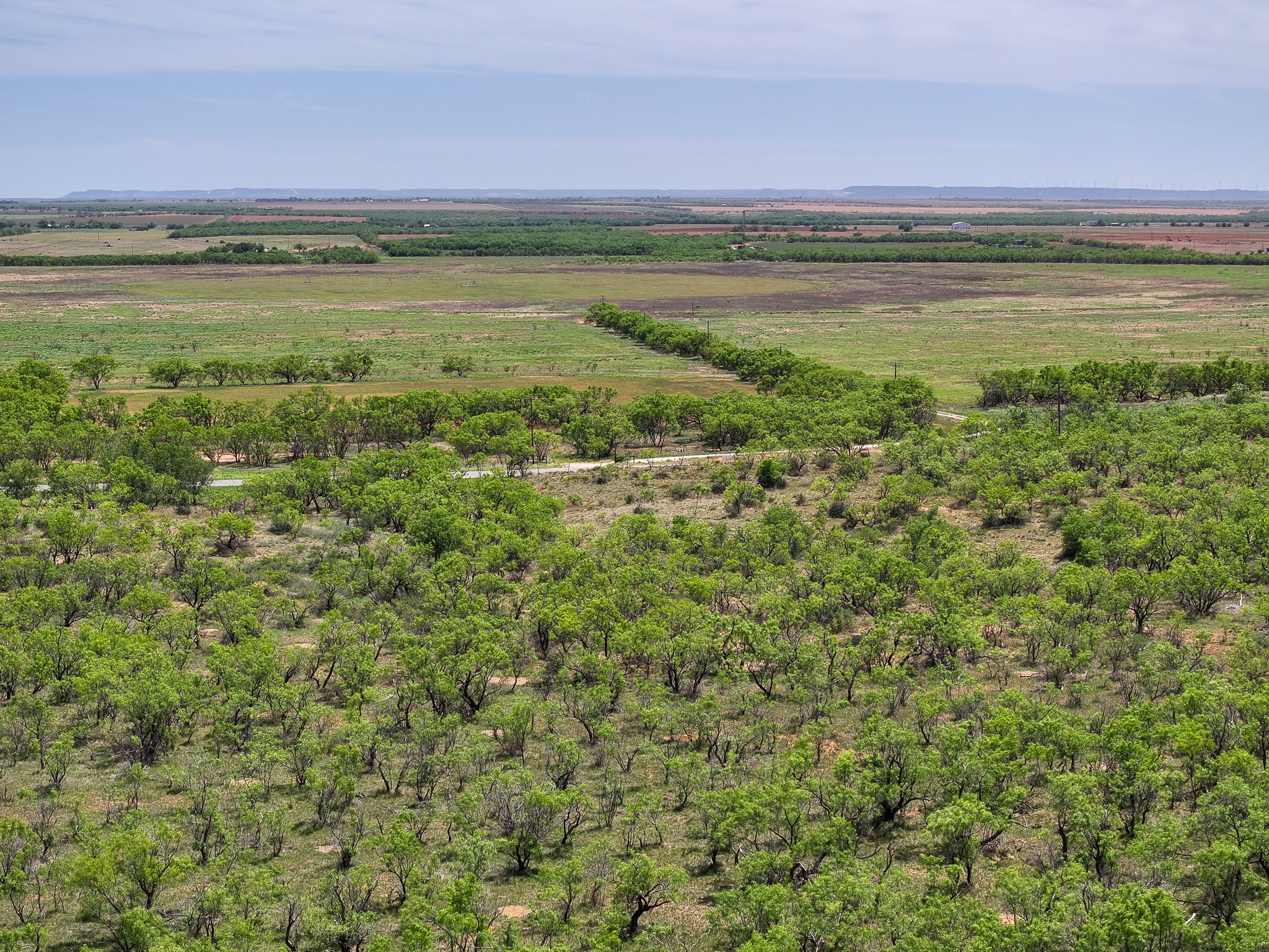 Tbd Tract 8 Fm 1812 Hawley TX 79525
