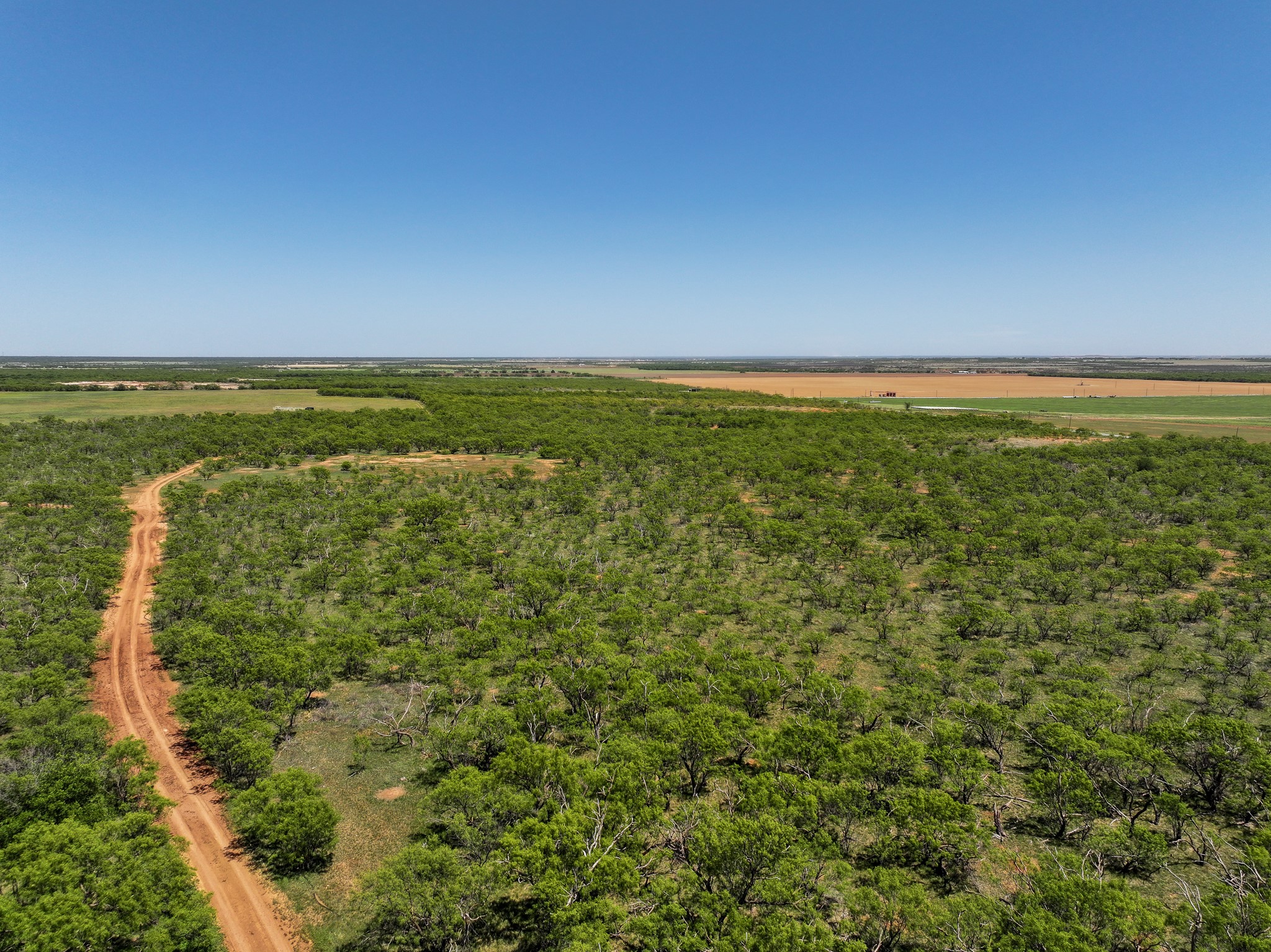 Tbd Tract 8 Fm 1812 Hawley TX 79525