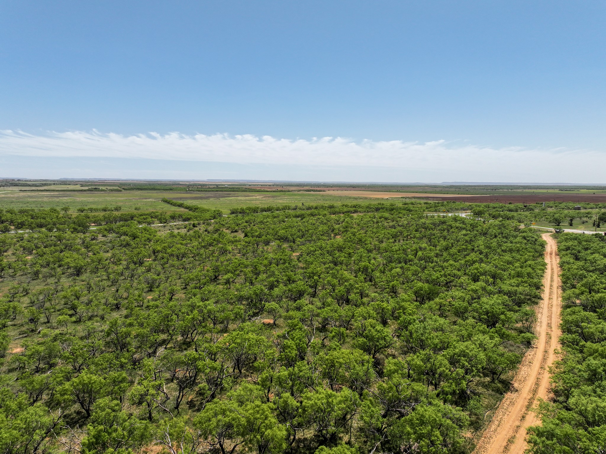 Tbd Tract 8 Fm 1812 Hawley TX 79525