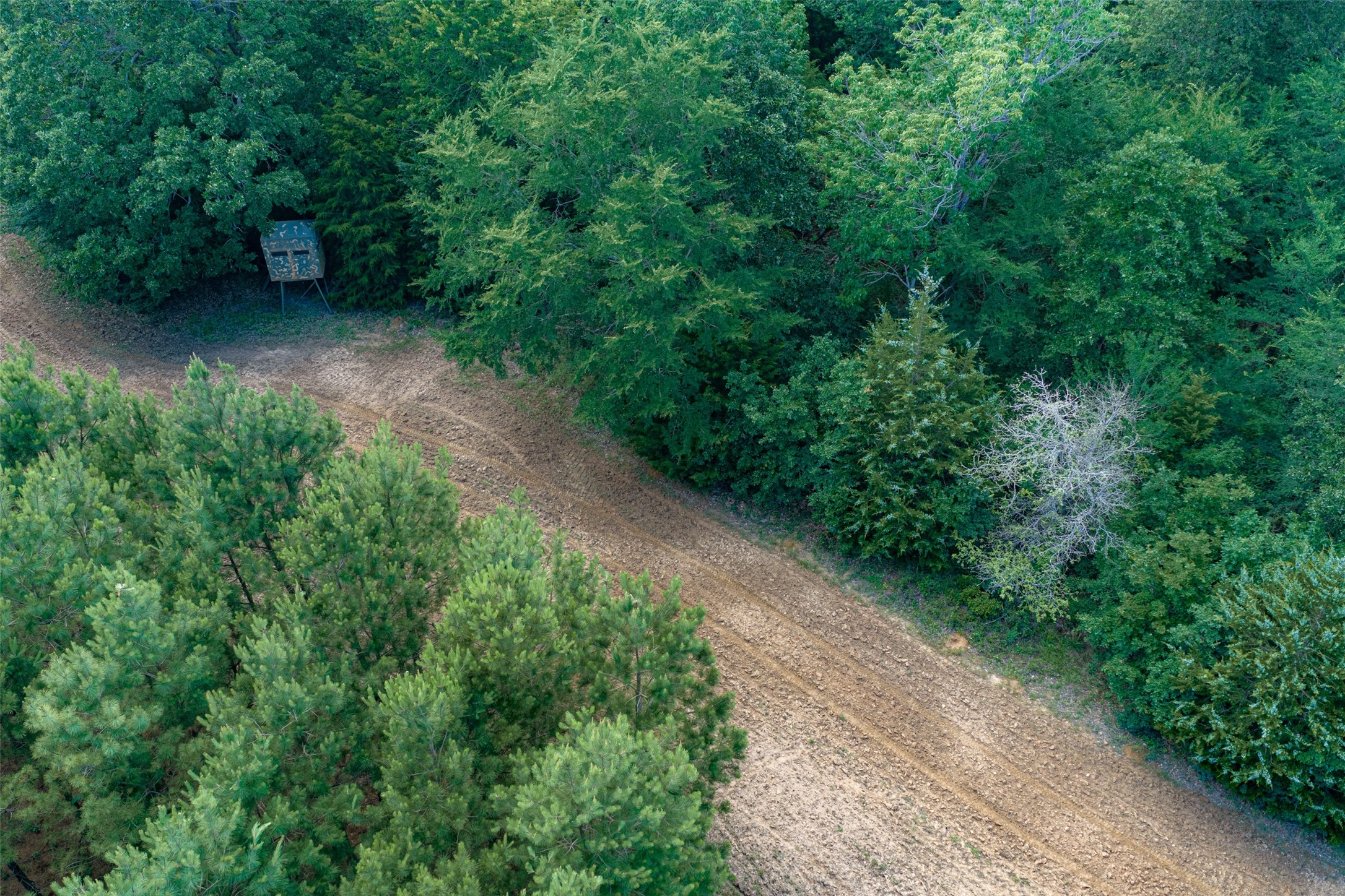 600 Anderson County Road 2805 Tennessee Colony TX 75861