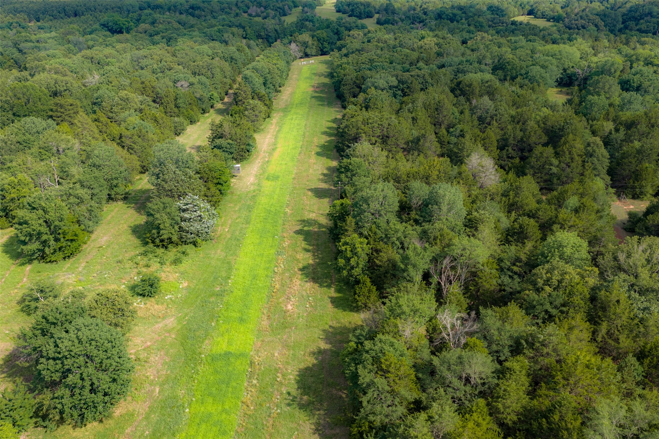 600 Anderson County Road 2805 Tennessee Colony TX 75861