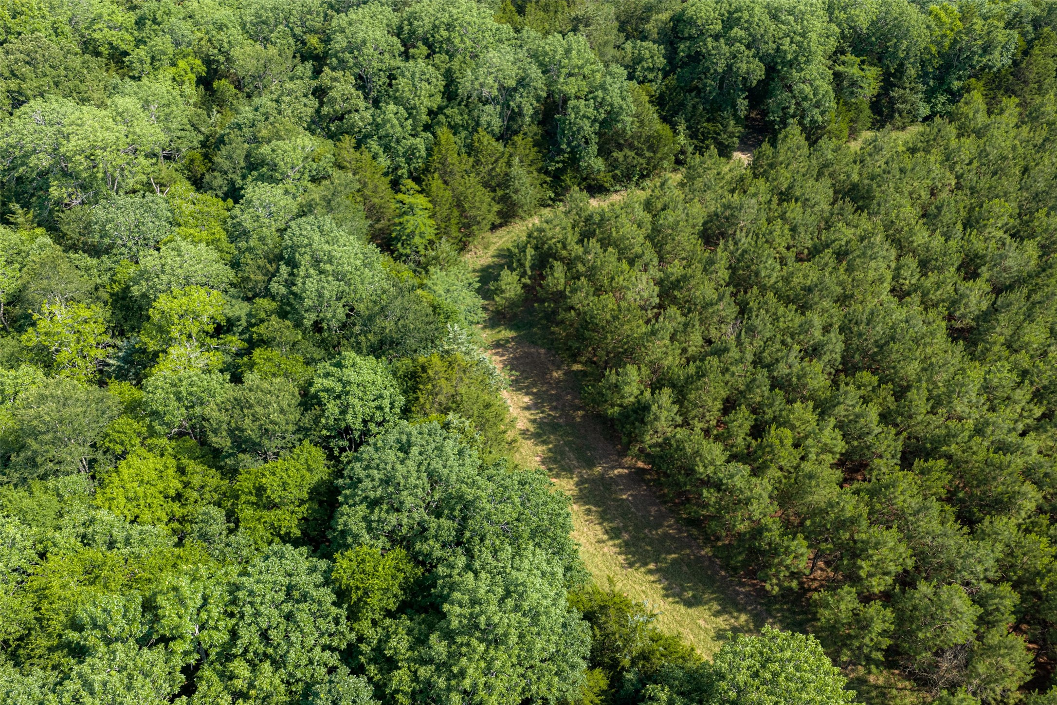 600 Anderson County Road 2805 Tennessee Colony TX 75861