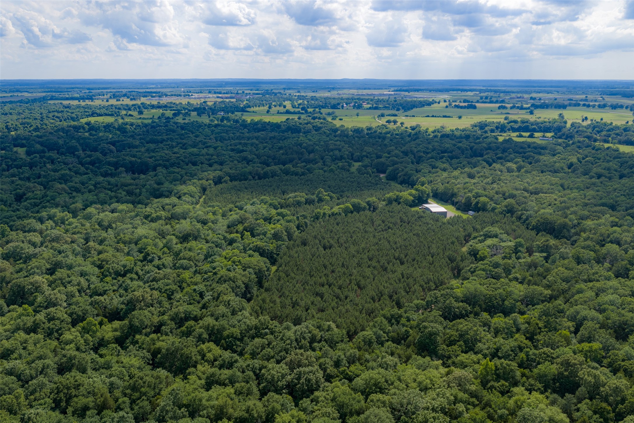 600 Anderson County Road 2805 Tennessee Colony TX 75861