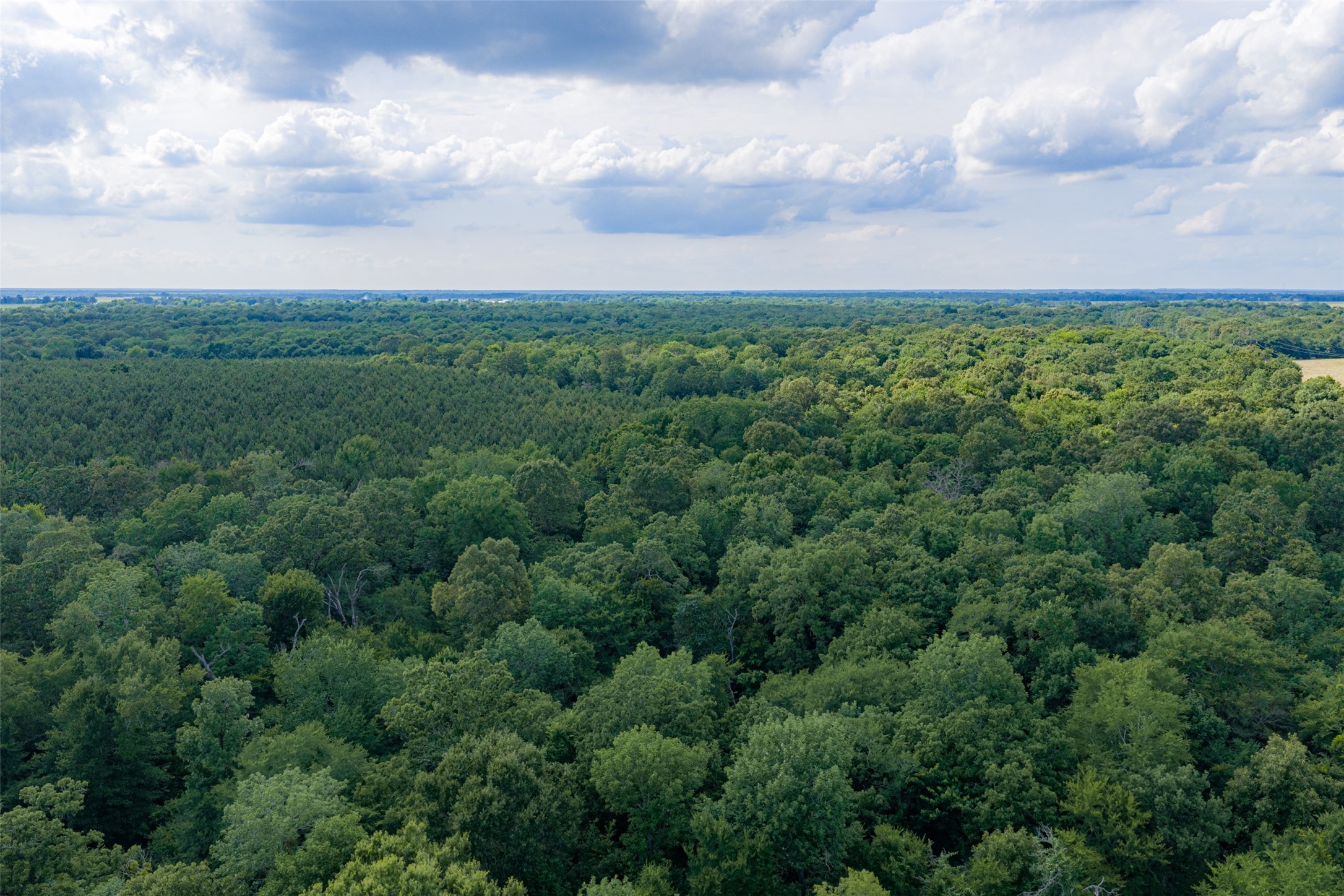 600 Anderson County Road 2805 Tennessee Colony TX 75861