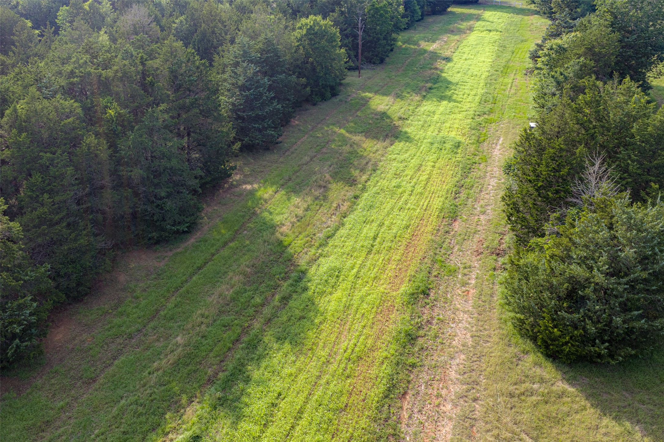 600 Anderson County Road 2805 Tennessee Colony TX 75861