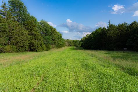 600 Anderson County Road 2805 Tennessee Colony TX 75861