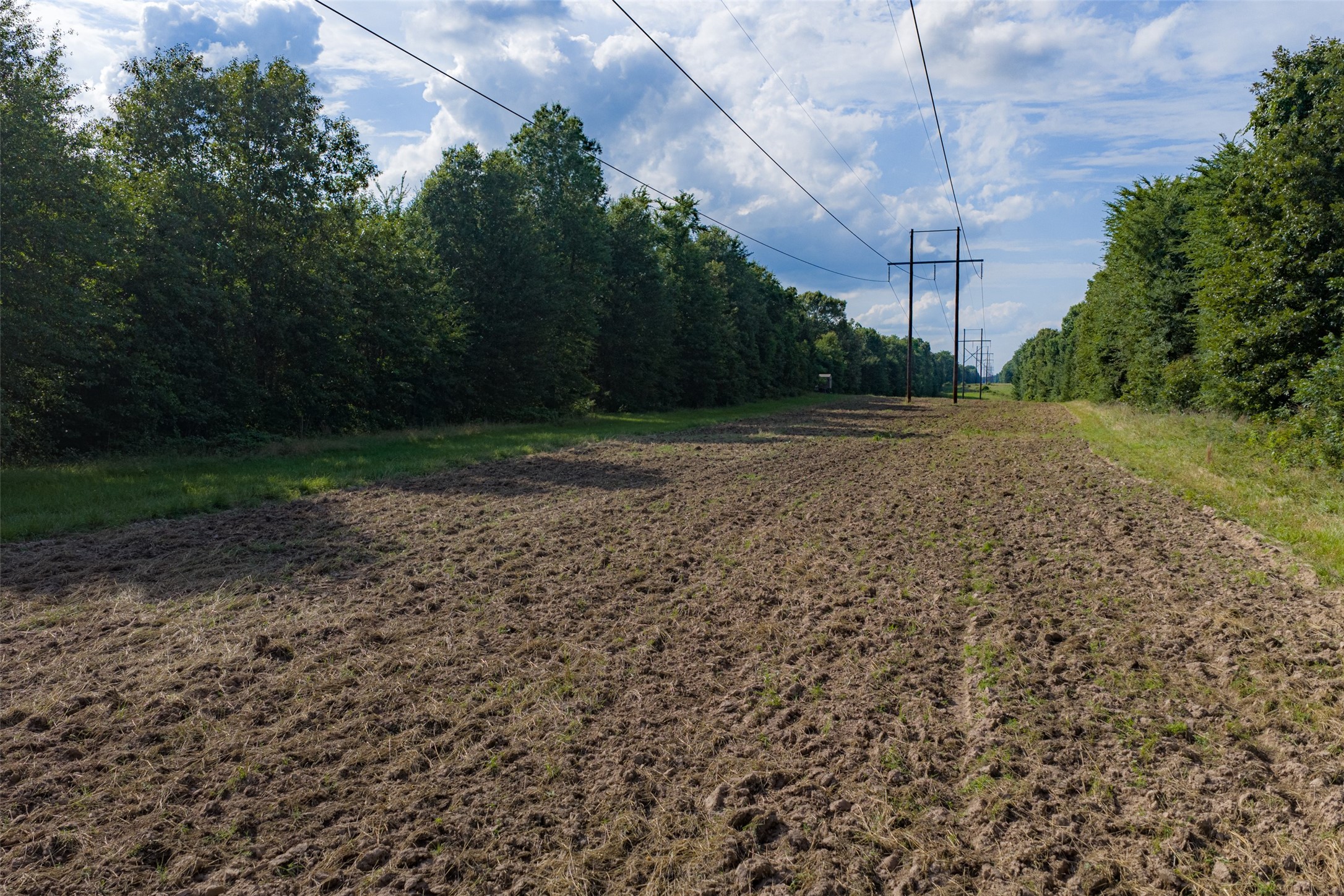 600 Anderson County Road 2805 Tennessee Colony TX 75861