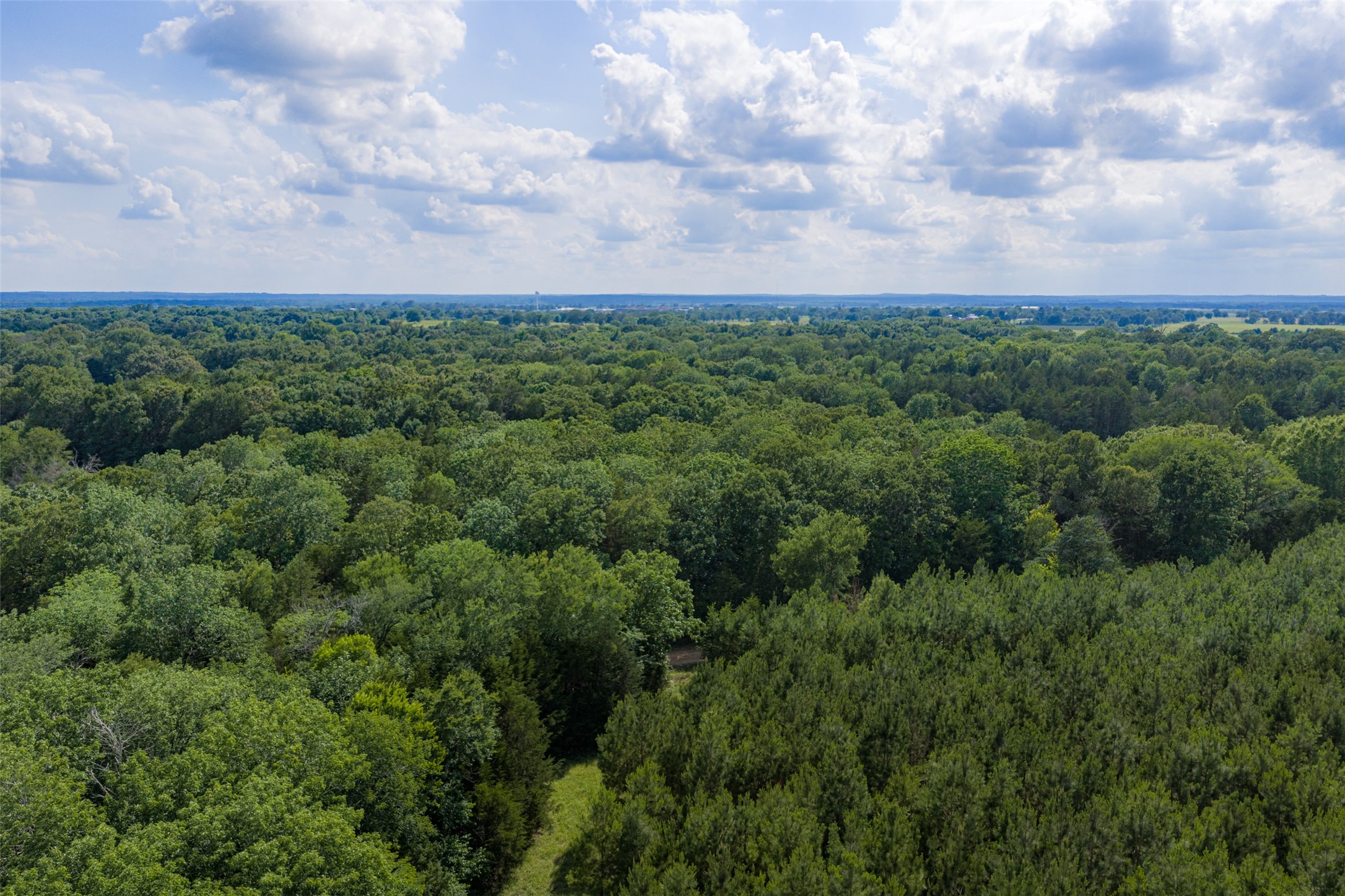 600 Anderson County Road 2805 Tennessee Colony TX 75861